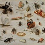 شركة مكافحة حشرات في الشارقة