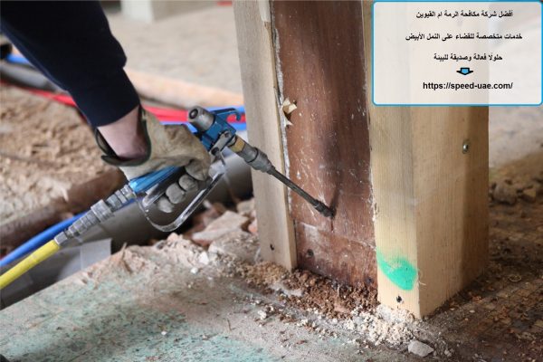 أفضل شركة مكافحة الرمة ام القيوين